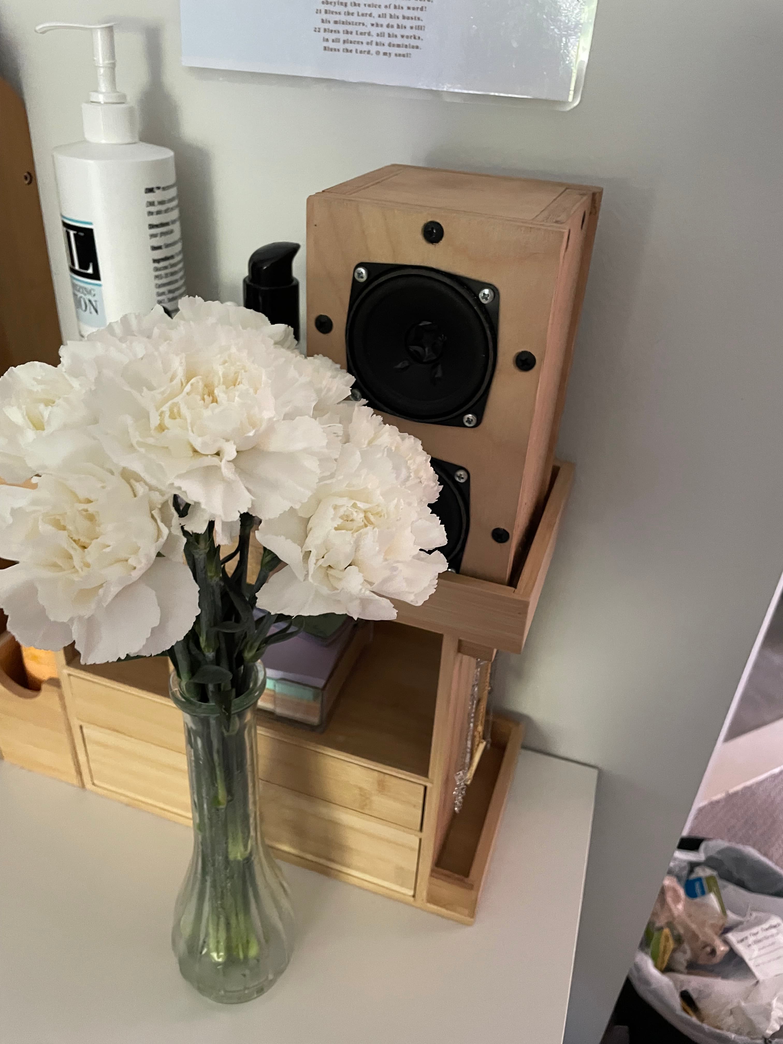 Wooden Speaker